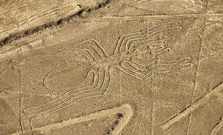 lineas de nazca